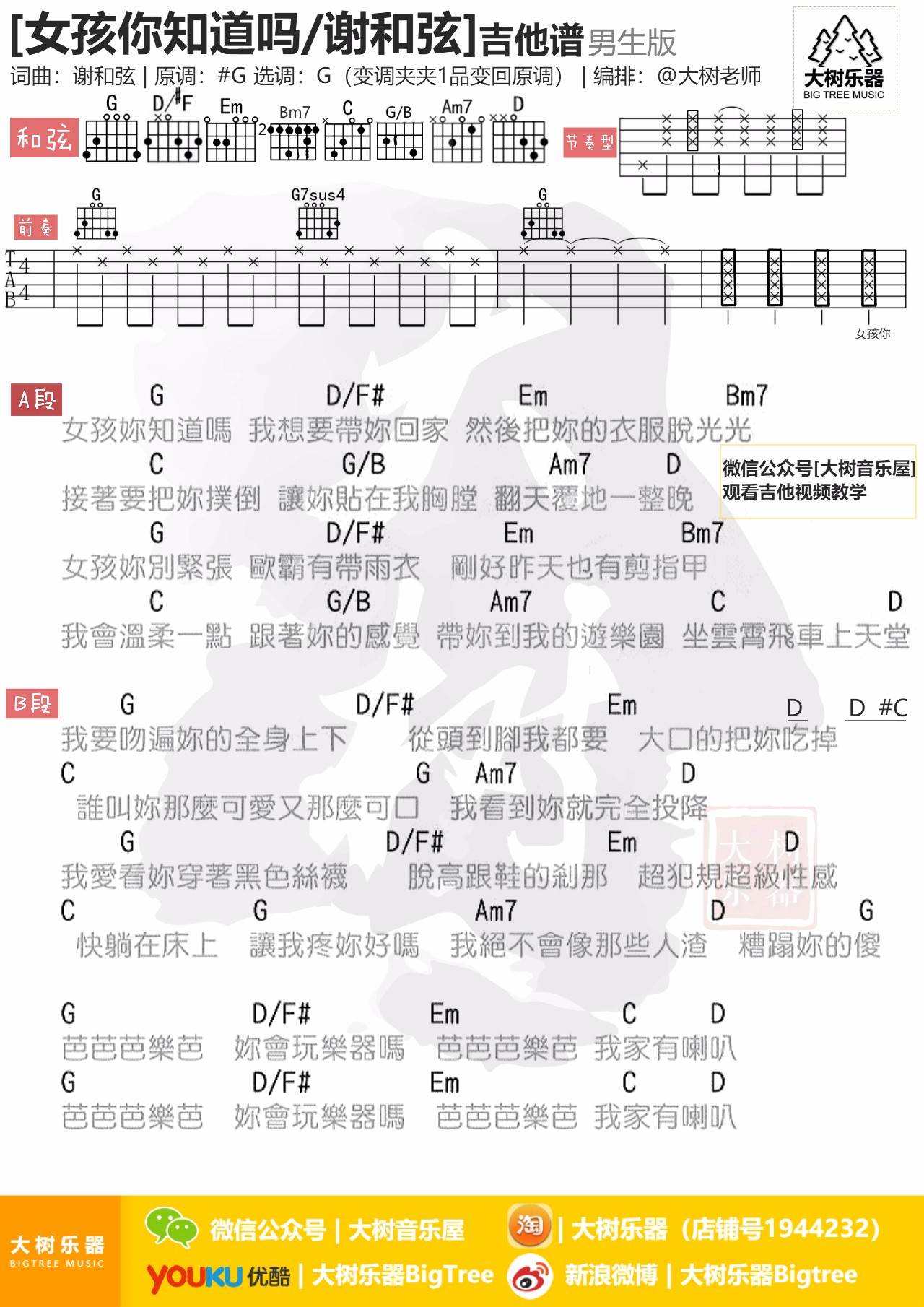 女孩你知道吗吉他谱 G调附视频_大树音乐屋编配_谢和弦-吉他谱_吉他弹唱六线谱_指弹吉他谱_吉他教学视频 - 民谣吉他网