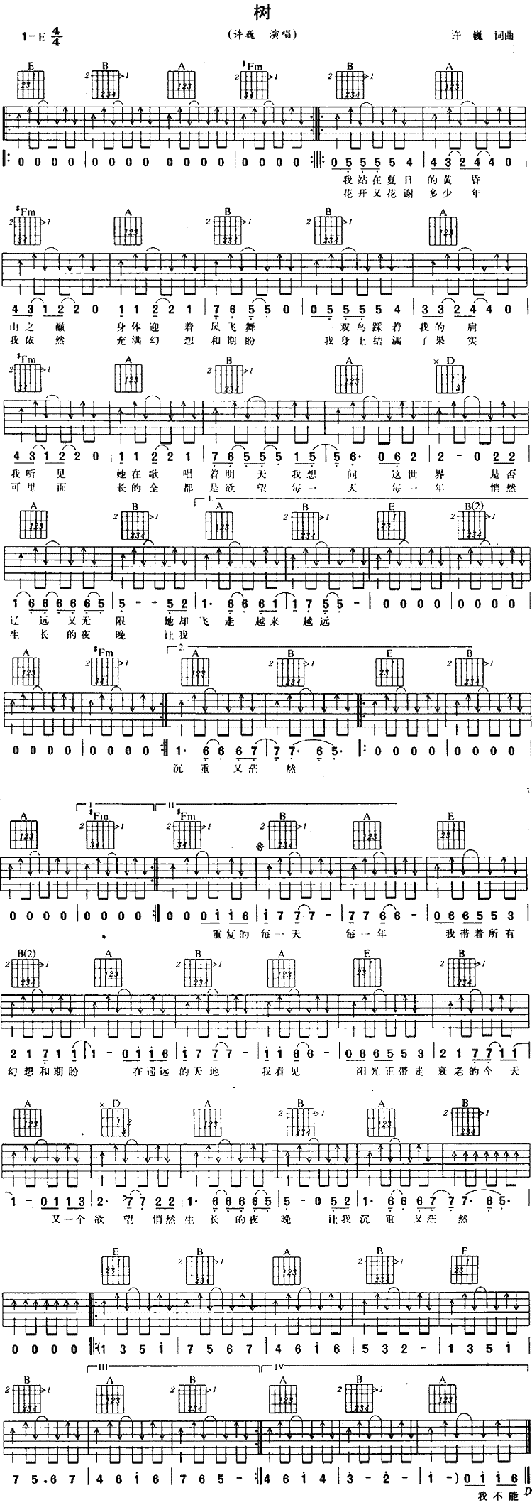 树吉他谱 E调六线谱_扫弦版_许巍-吉他谱_吉他弹唱六线谱_指弹吉他谱_吉他教学视频 - 民谣吉他网