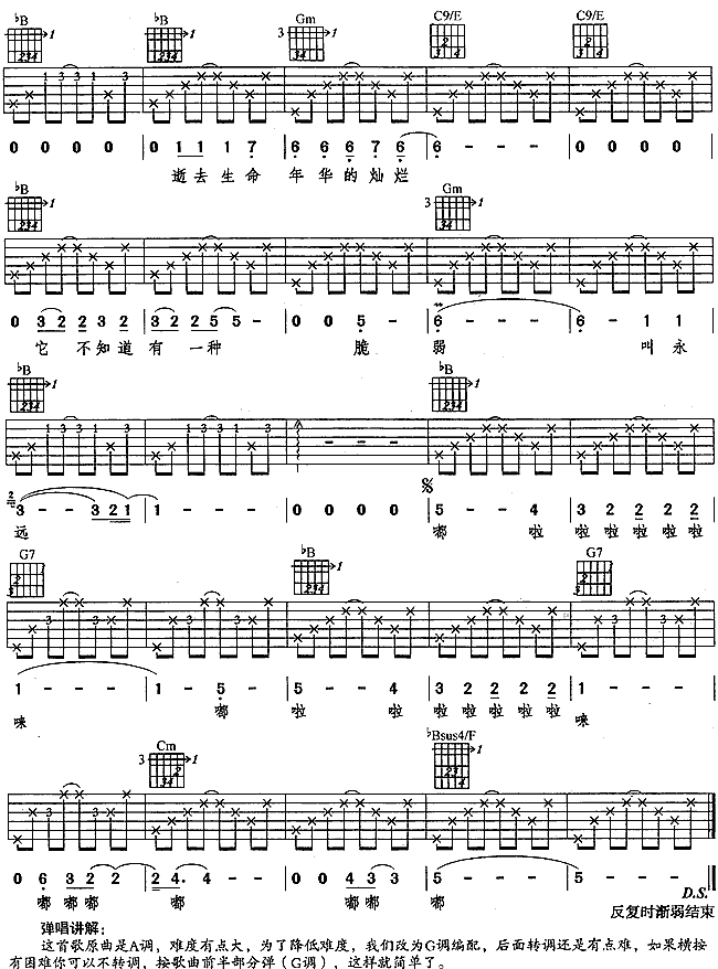 风花树吉他谱 G调六线谱_简单版_水木年华