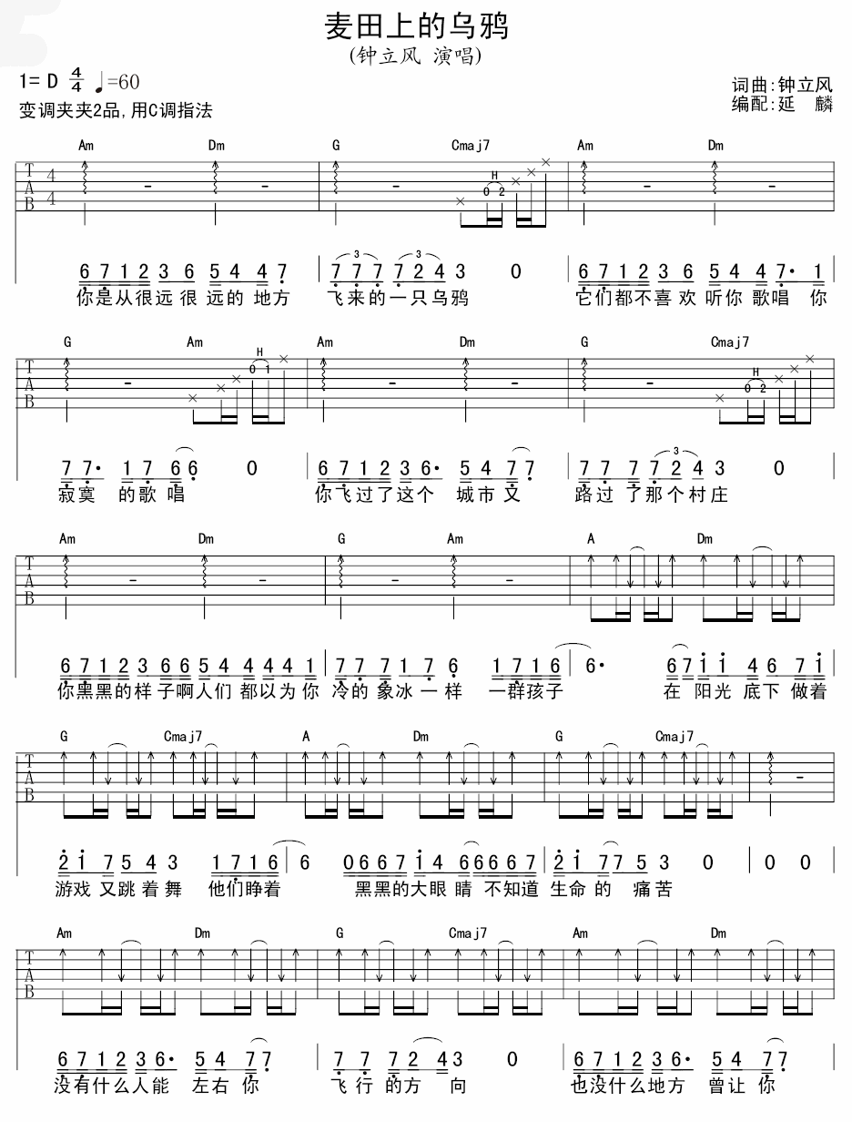 麦田上的乌鸦吉他谱 D调扫弦版_延麟编配_钟立风-吉他谱_吉他弹唱六线谱_指弹吉他谱_吉他教学视频 - 民谣吉他网