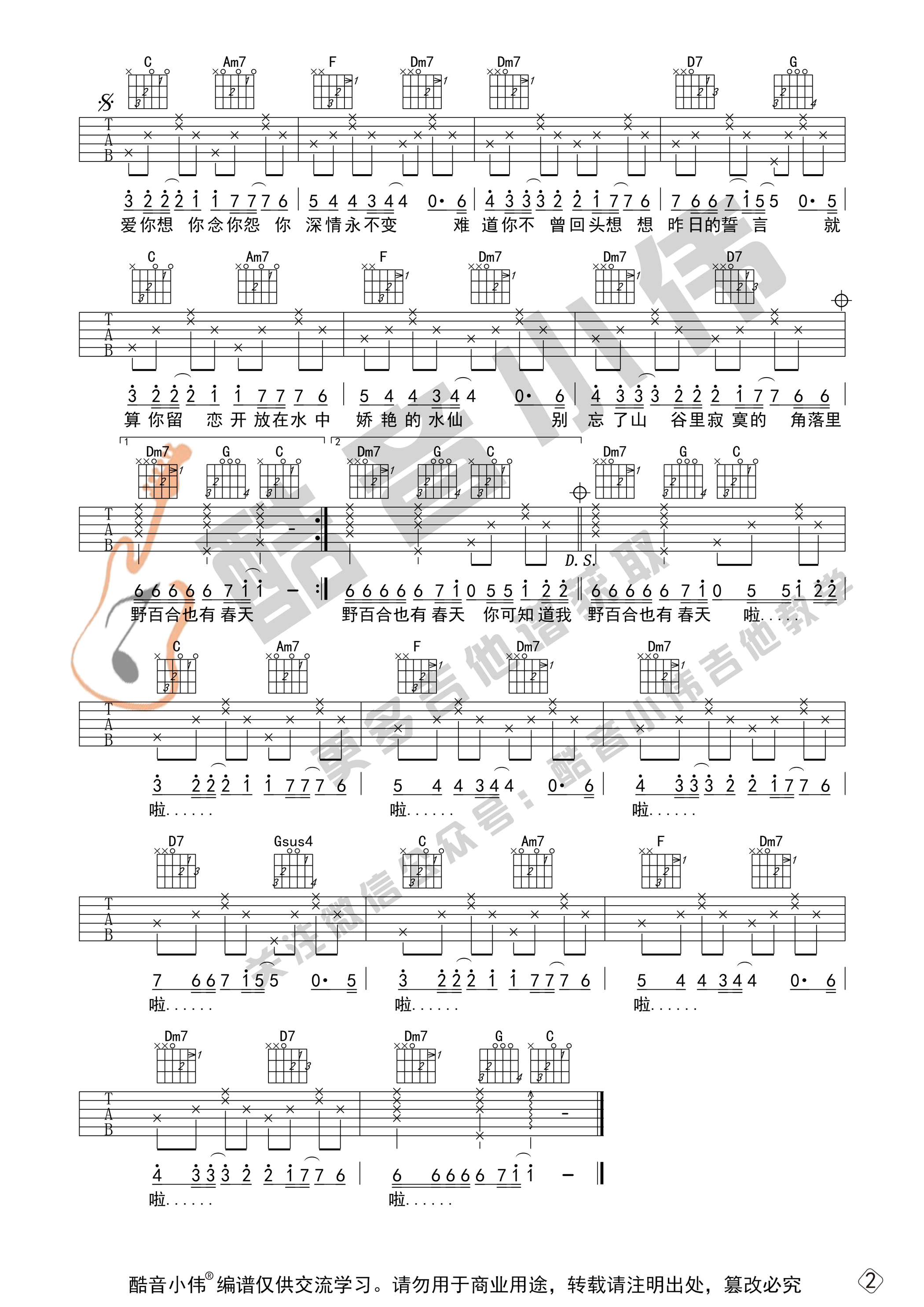 野百合也有春天吉他谱C调初级版_酷音小伟编谱_罗大佑