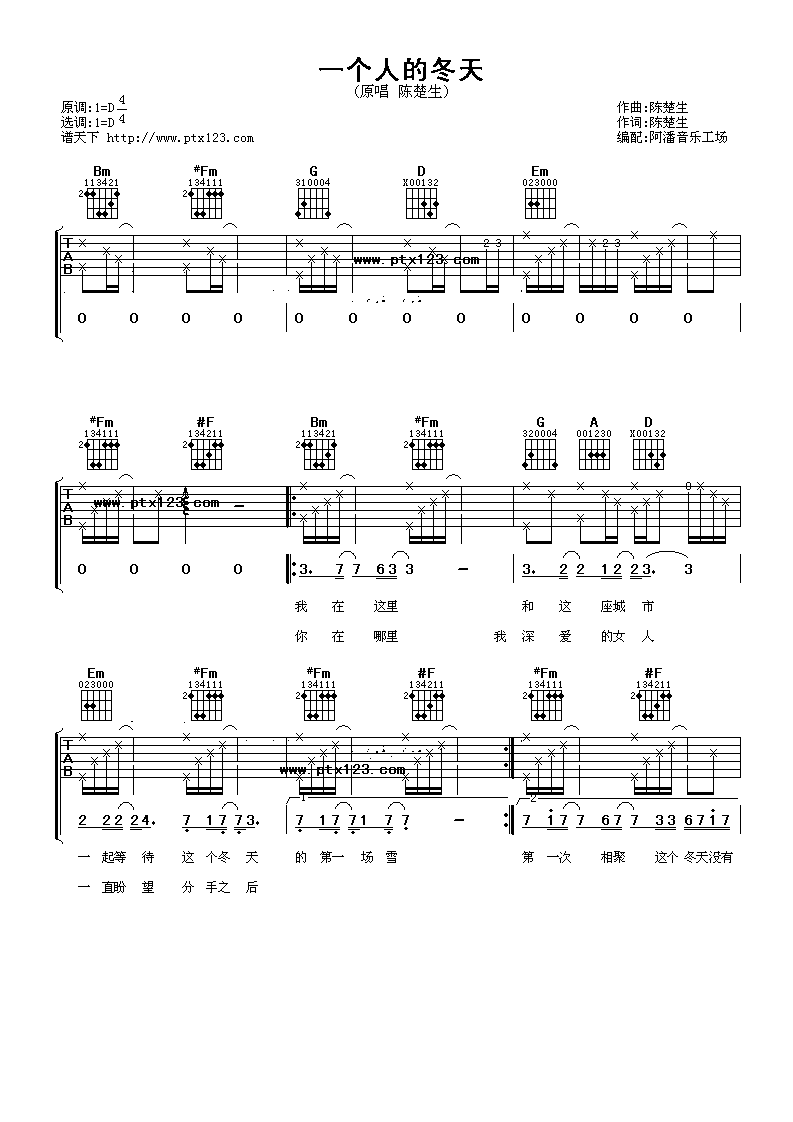 一个人的冬天吉他谱 D调六线谱_阿潘音乐工场编配_陈楚生-吉他谱_吉他弹唱六线谱_指弹吉他谱_吉他教学视频 - 民谣吉他网