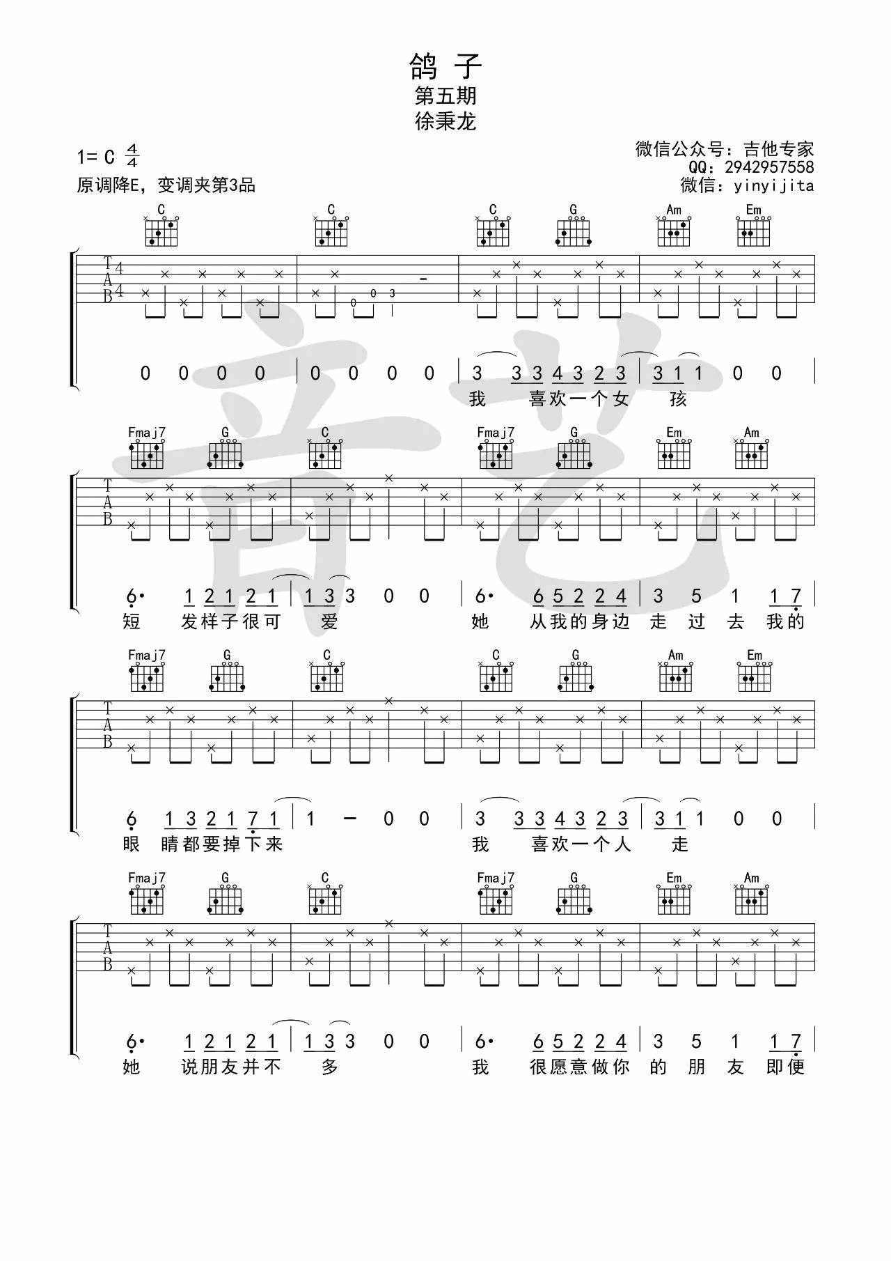 鸽子吉他谱 C调简单版_音艺吉他编配_徐秉龙-吉他谱_吉他弹唱六线谱_指弹吉他谱_吉他教学视频 - 民谣吉他网