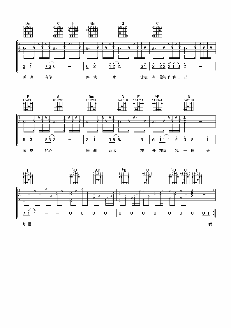 感恩的心吉他谱 F调_阿潘音乐工厂编配_欧阳菲菲