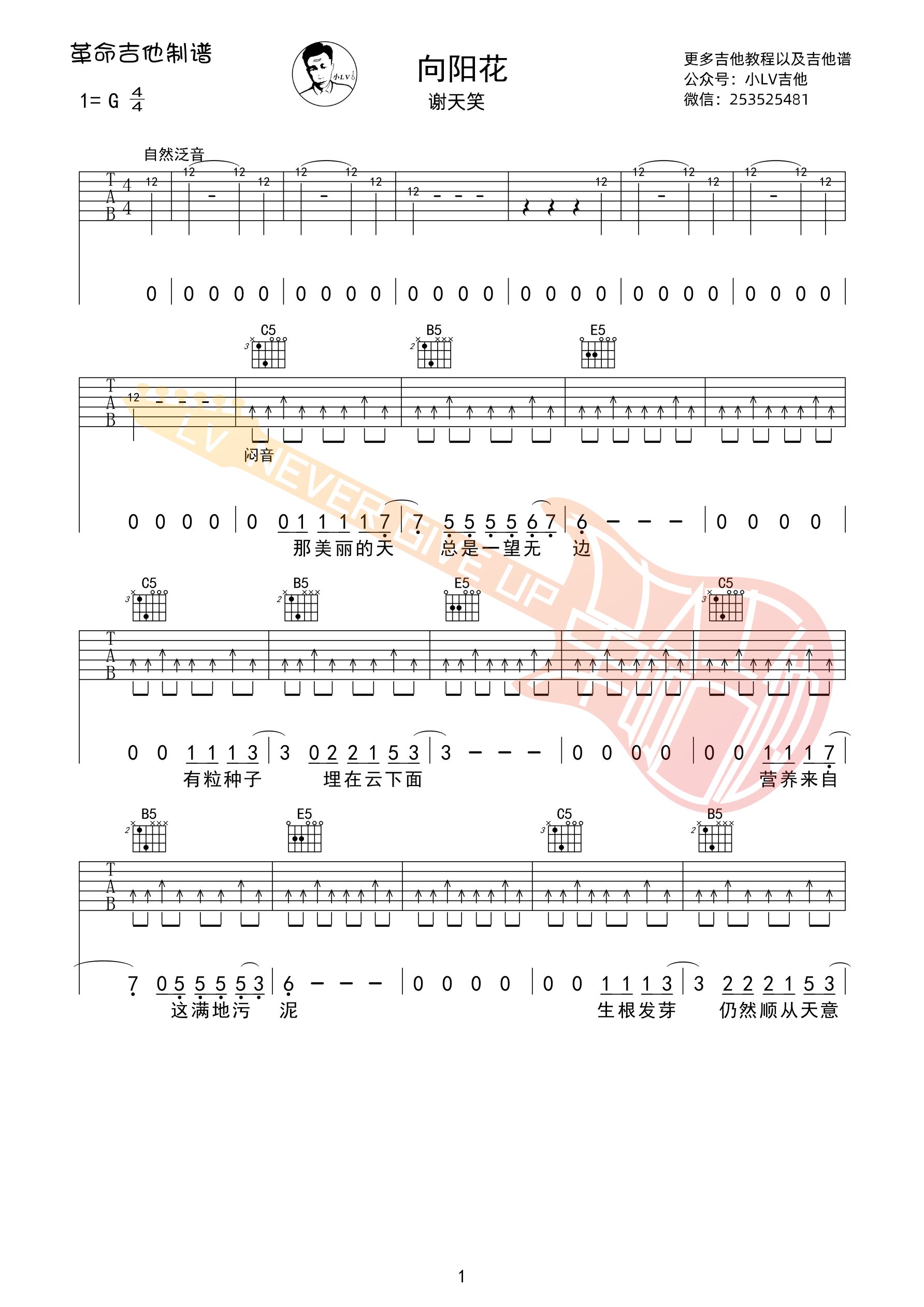 向阳花吉他谱弹唱 革命吉他版 谢天笑-吉他谱_吉他弹唱六线谱_指弹吉他谱_吉他教学视频 - 民谣吉他网